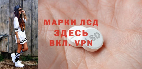 стафф Бородино